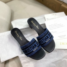 Christian Dior Slippers